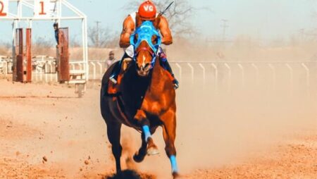 An Overview of Horse Race Betting In India