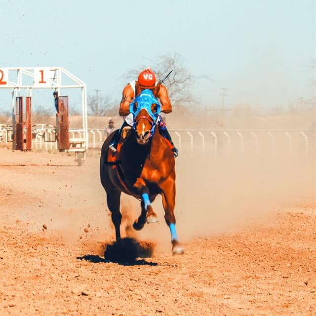 Horse Sprinting on a sandy field