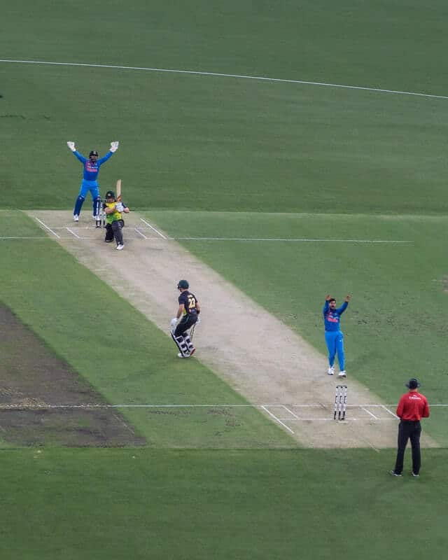 Cricket Field with Players